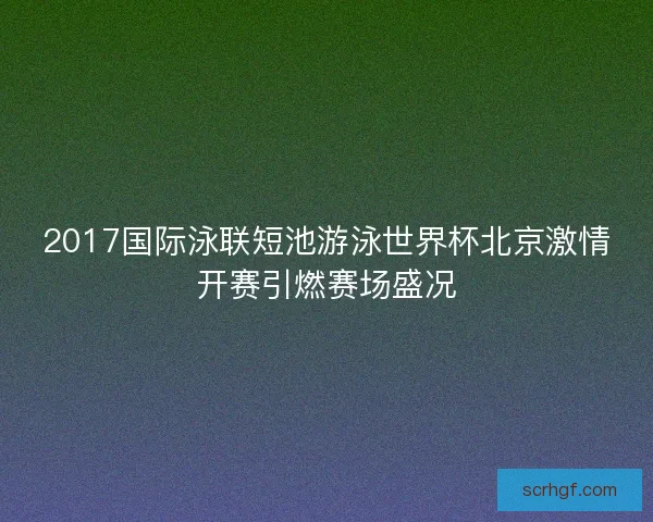 2017国际泳联短池游泳世界杯北京激情开赛引燃赛场盛况